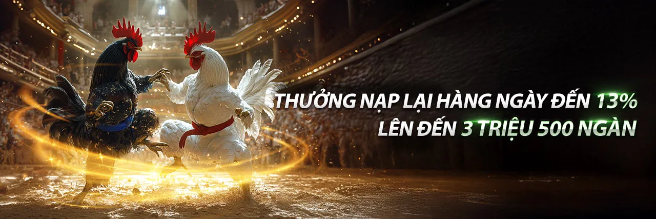Sân đá gà trực tuyến CS88 Nổ Hũ